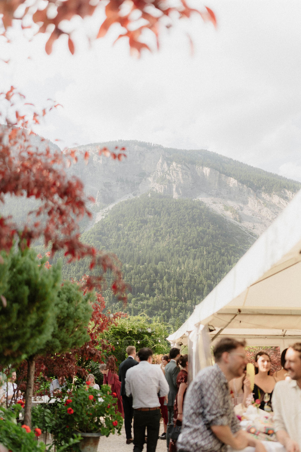 Blick durch herbstlich rotes Laub auf die Berge und Hochzeitsgäste vor einem Festzelt.