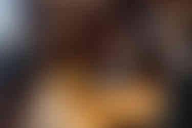 Standesbeamter gratuliert dem Brautpaar