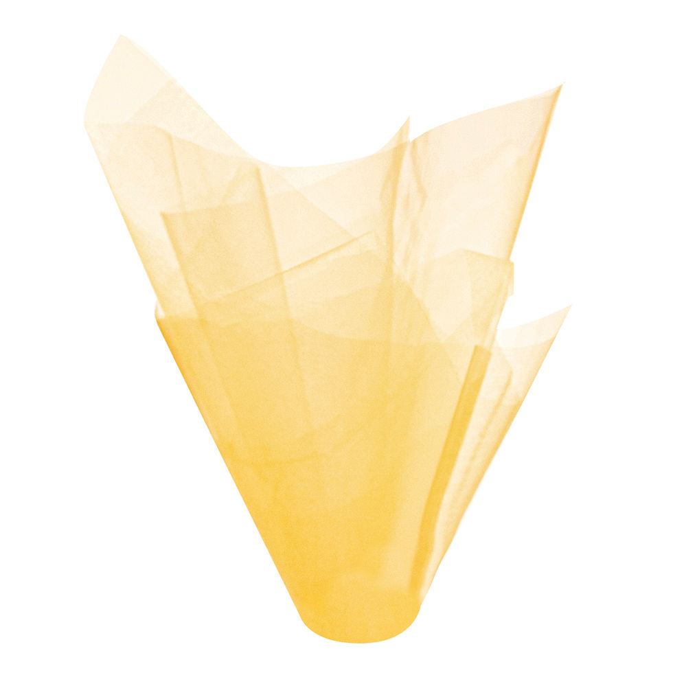 Thumbnail: Organza