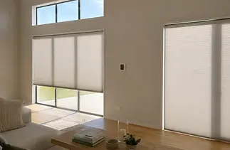 Honeycomb blinds - Living room