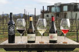 Baja Wineries