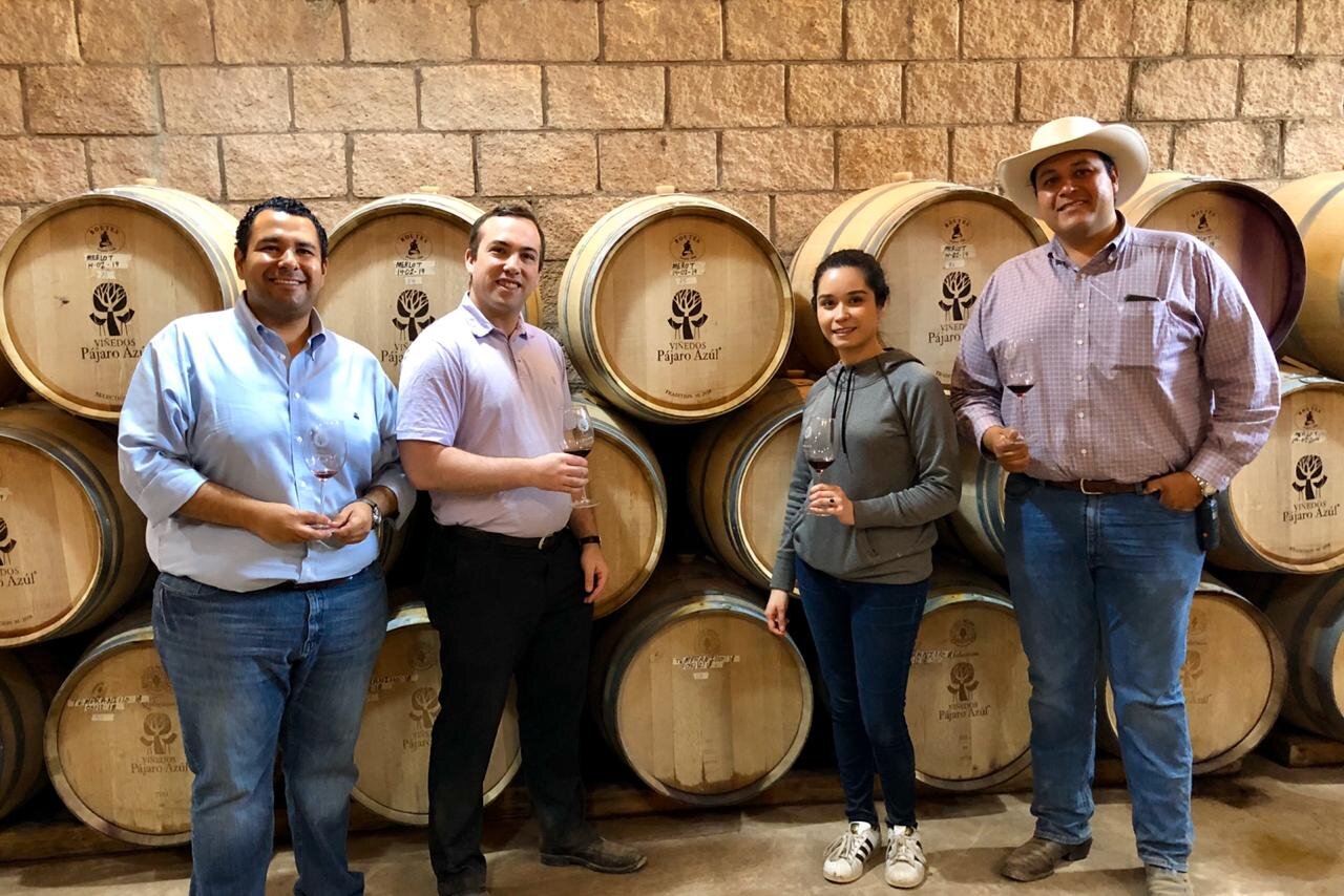 Baja Wineries