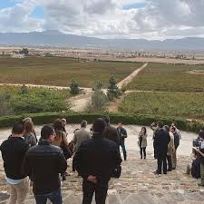 Baja Wineries