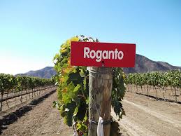 Baja Wineries