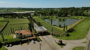 Baja Wineries