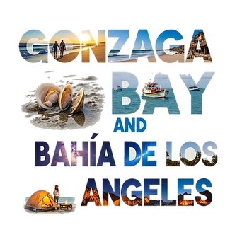 Gonzaga and LA Bay BAJA.png