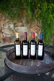 Baja Wineries