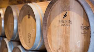 Baja Wineries