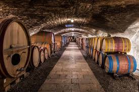Baja Wineries