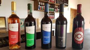 Baja Wineries