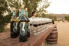 Baja Wineries