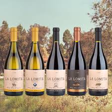 Baja Wineries