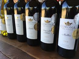 Baja Wineries