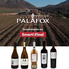 Baja Wineries