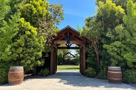 Baja Wineries
