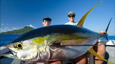 Yellowfin Tuna.jpeg
