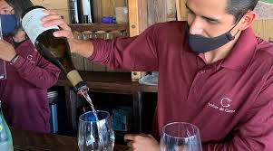 Baja Wineries