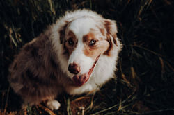 Familienshooting-Hamburg-00054