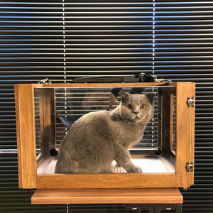 Ahşap Kedi Taşıma Çantası