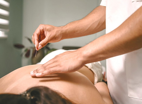 ACU_Back image_edited.jpg