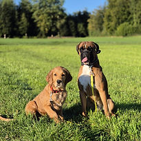 WhatsApp Image 2026-02-09 at 15.10.16.jpeg