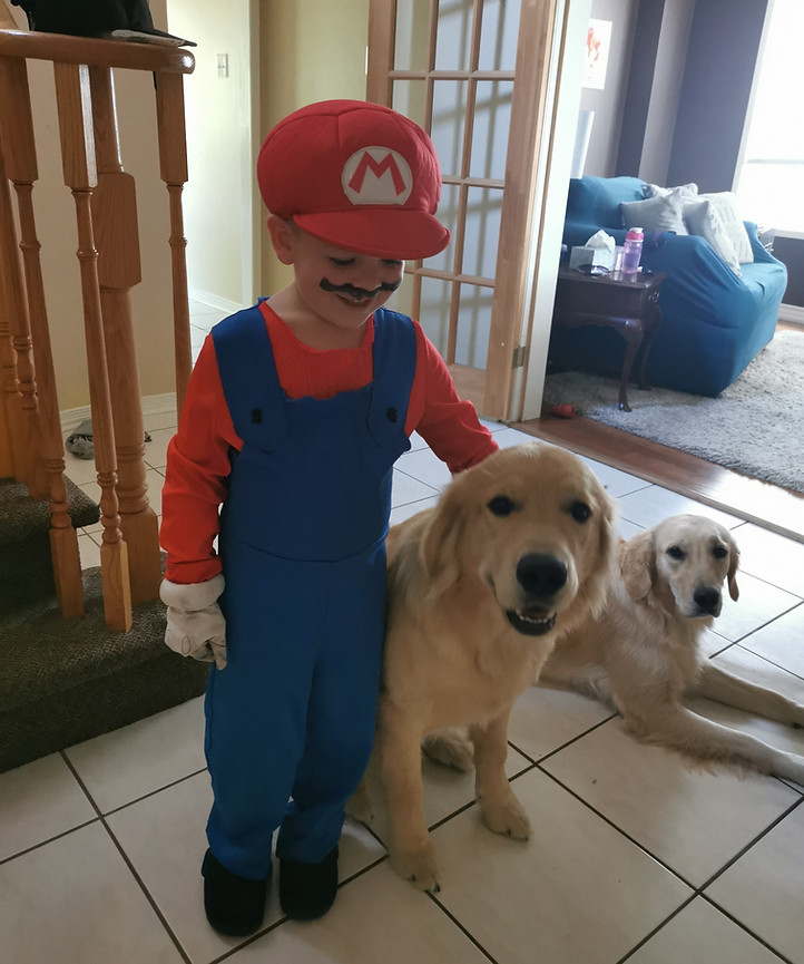 Golden Retievers, Max and Rosie with little boy in Mario costume.