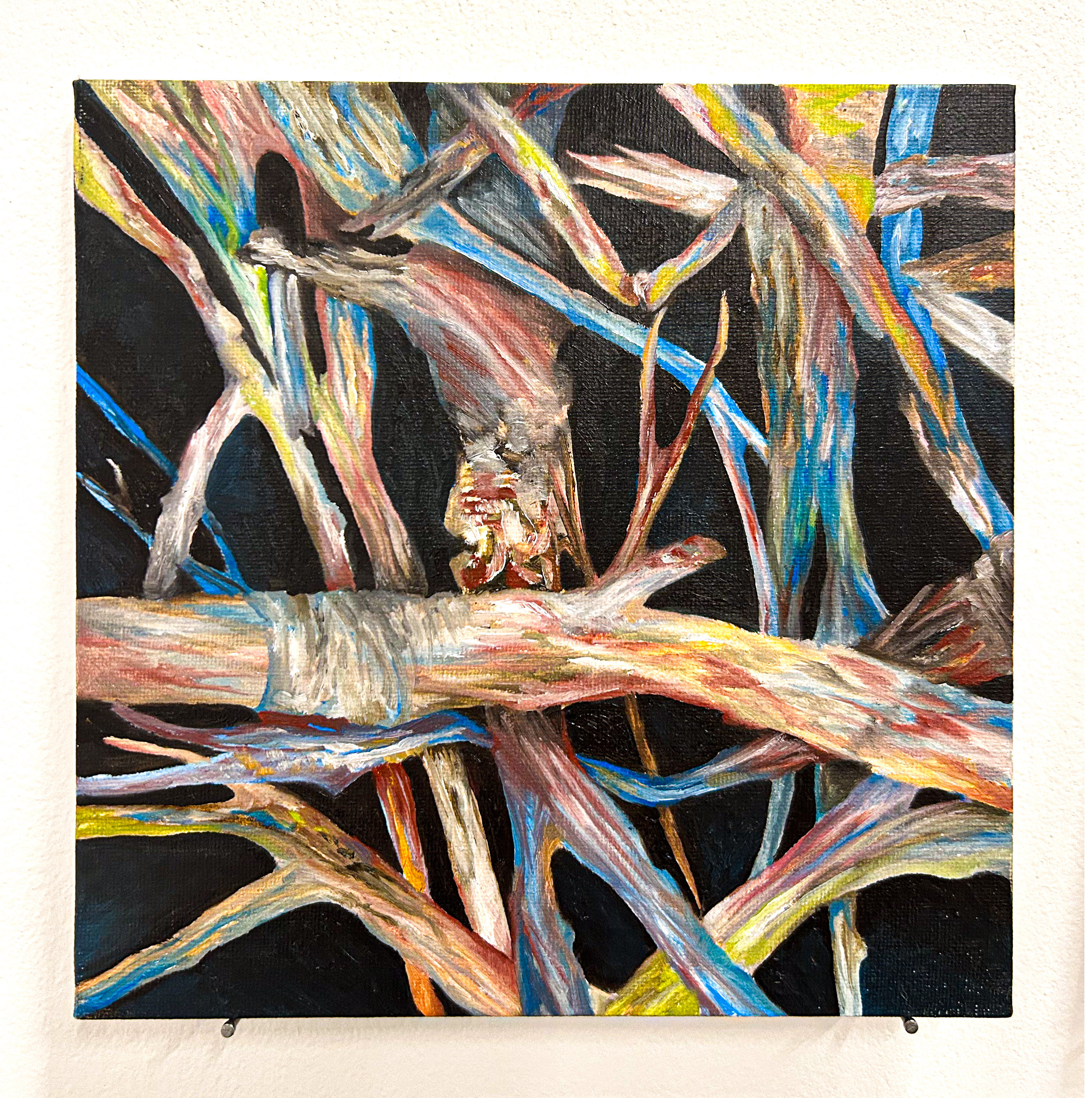 Fagot de bois, Forêt du Réaltor