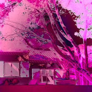 Sur les sentiers de la Côte Bleue, dimensions variables, Marseille, 2021
