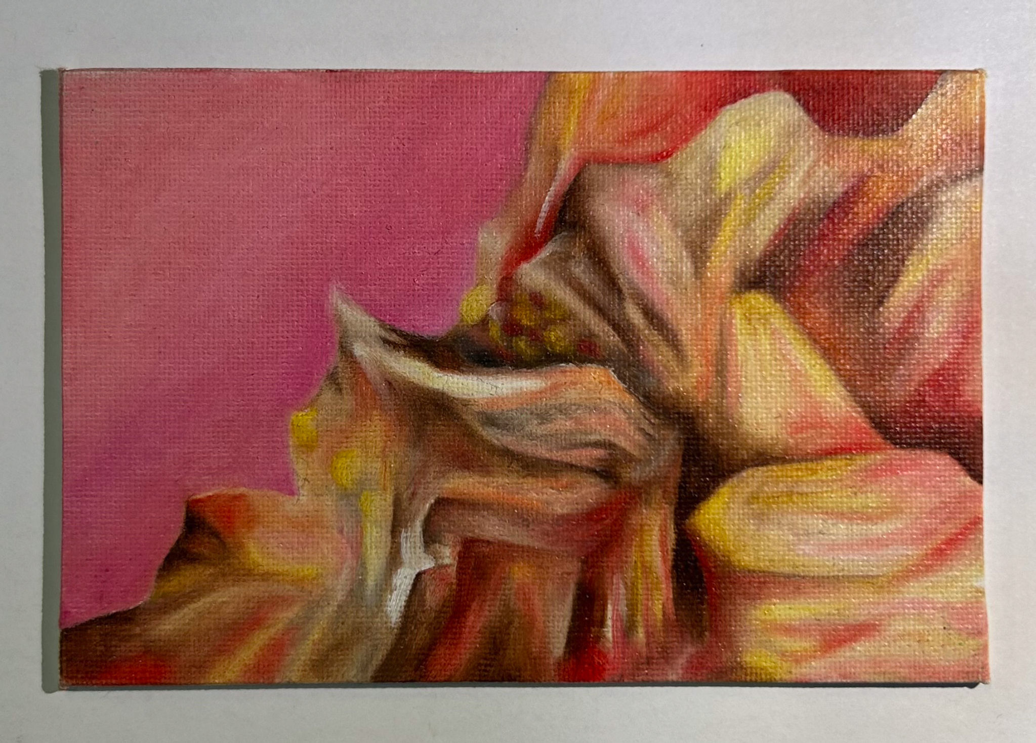 Rochers, Plage De La Batterie Basse