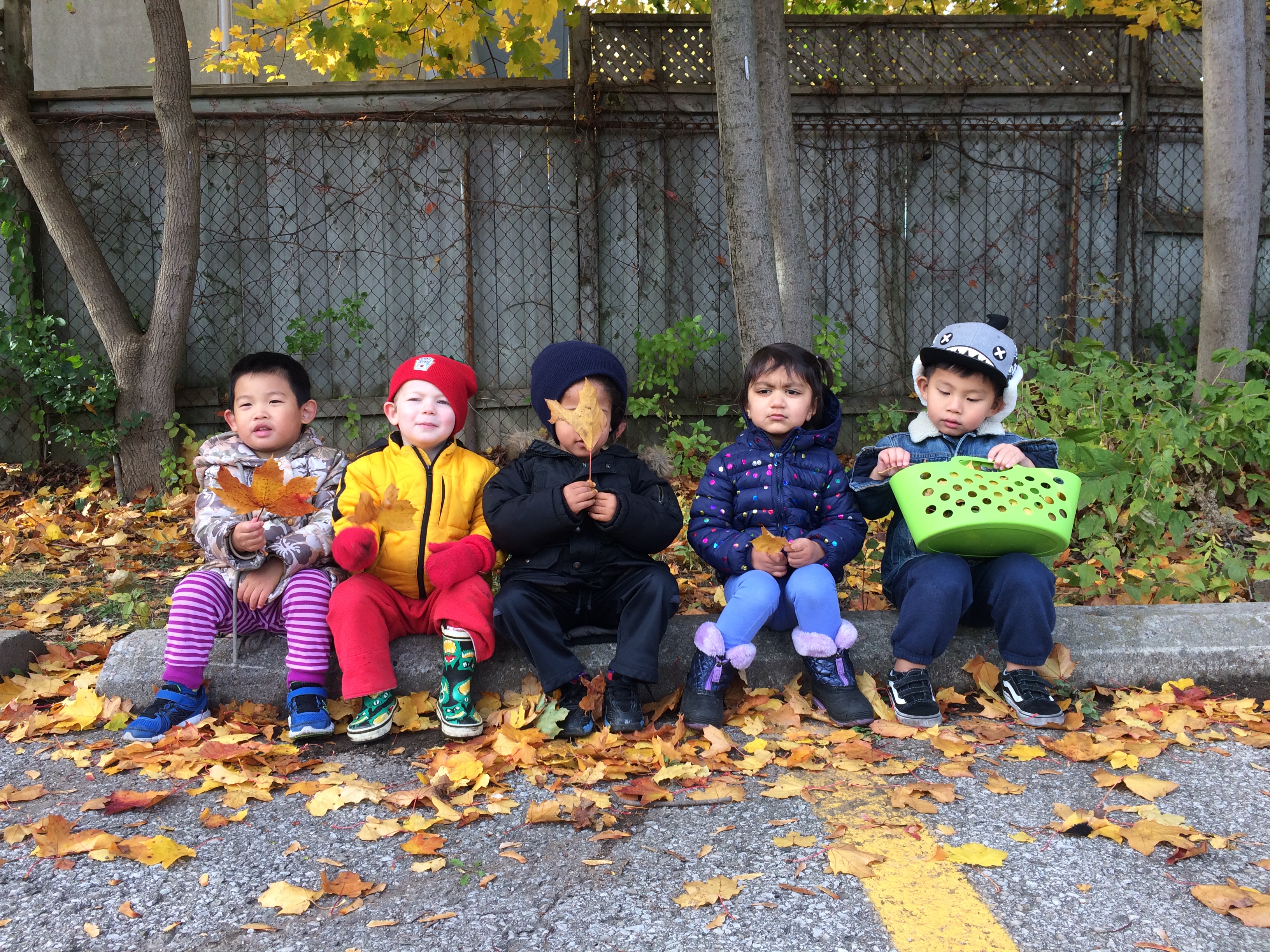 Fall