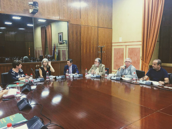 Parlamento de Andalucía