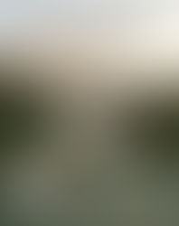 𝗜𝗡𝗧𝗥𝗢𝗗𝗨𝗖𝗖𝗜Ó𝗡 𝗔𝗟 𝗠𝗜𝗡𝗗𝗙𝗨𝗟𝗡𝗘𝗦𝗦 𝗣𝗔𝗥𝗔 𝗟𝗔 𝗦𝗔𝗟𝗨𝗗 𝗠𝗘𝗡𝗧𝗔𝗟