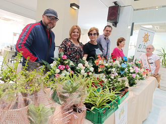 Taller ocupacional de jardinería