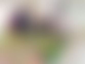 Taller ocupacional de jardinería