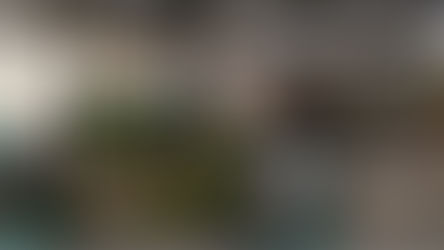 Taller Ocupacional de Jardinería y Medio Ambiente