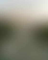 Programa de Introducción al Mindfulness para la Salud Mental