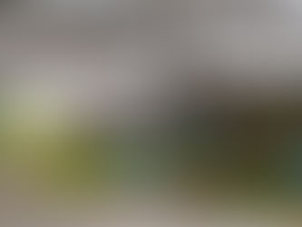 Taller de jardinería y medioambiente