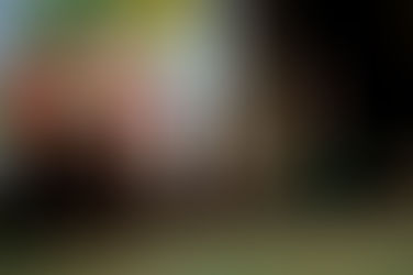 Actuación La rebolica Gala 30 aniversario