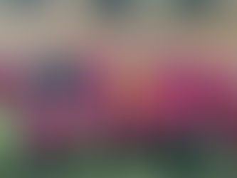 Liga Inclusiva de fútbol Almeriense