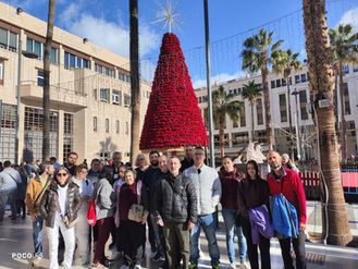 Día Internacional de las personas con Discapacidad