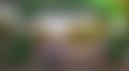 Carrera de colores por la Salud Mental 2025