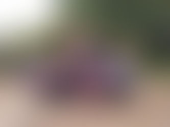 CONVIVENCIA EN PADUL