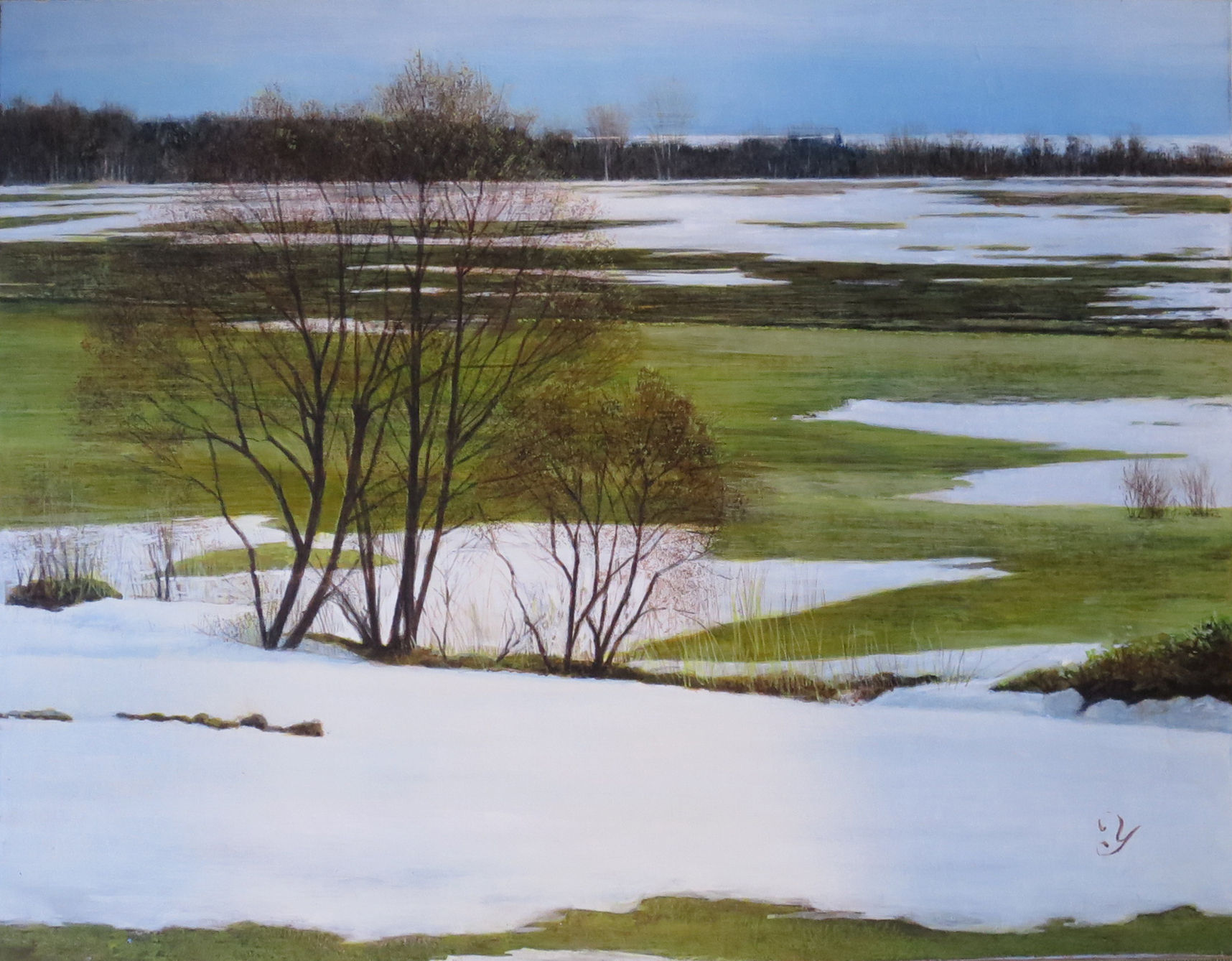 安田祐三「オホーツクの雪原野」