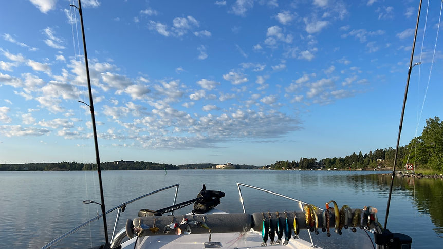 stockholm-fishing.jpeg
