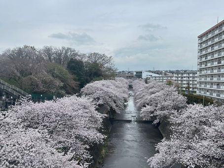 スタッフブログ〜金澤〜