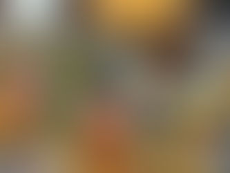 スタッフブログ〜妻鳥〜