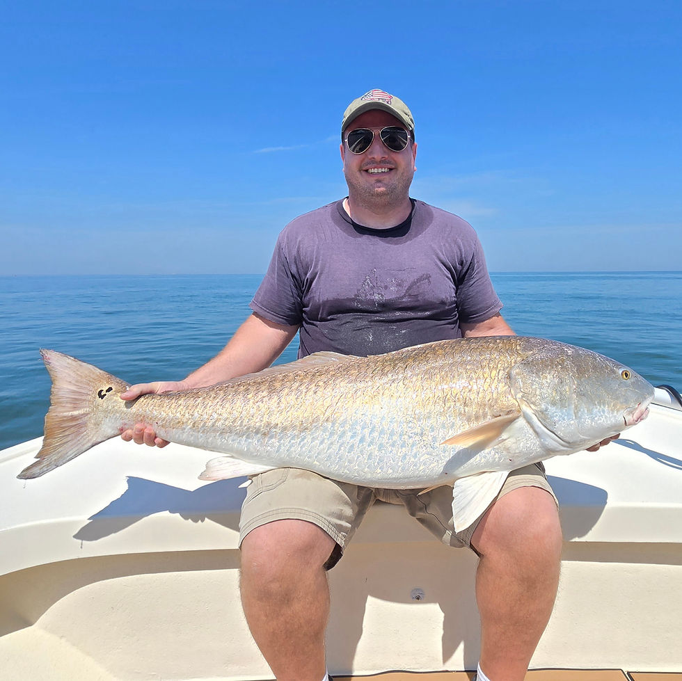 Virginia: Red Drum, Cobia, AND Sheepshead