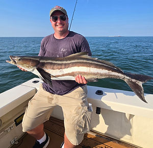 This 48.5-incher had some of the coolest markings I've ever seen on a cobia.