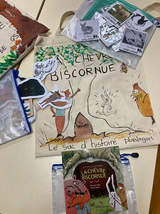 IMG_8377.jpeg