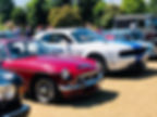 Photo of cars lined up at Classics on the green
